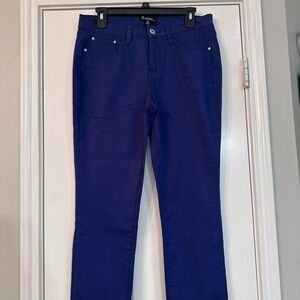 Signature Studio Women's Deep Blue Skinny Jeans